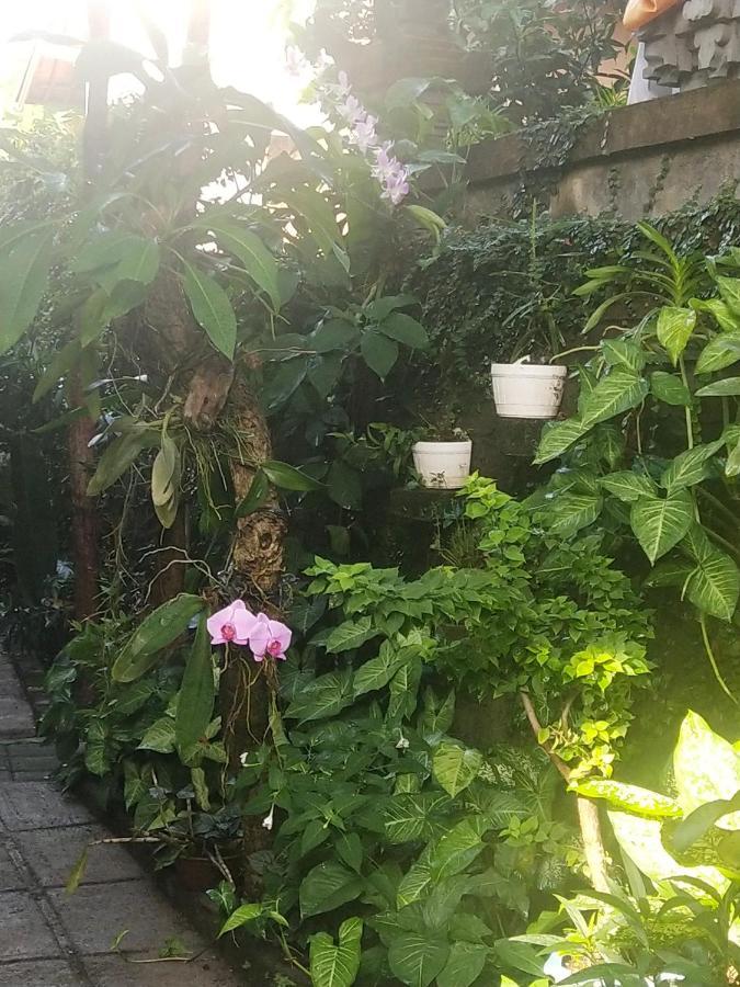Santa Fe Homestay & Warong Amed Kültér fotó