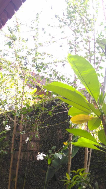 Santa Fe Homestay & Warong Amed Kültér fotó